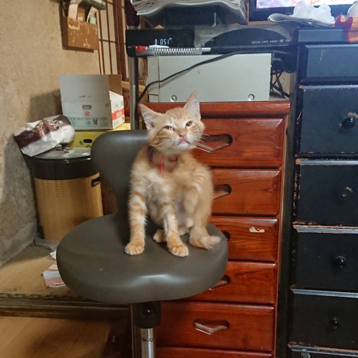 F0ee90c4 236c 453b a0f8 8203bdb99580 1630144598794