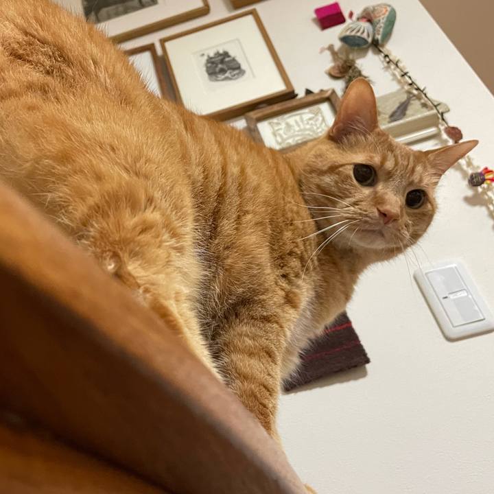 F0ee918e 2c08 4a57 b292 4ebe3f50235a 1684487632500