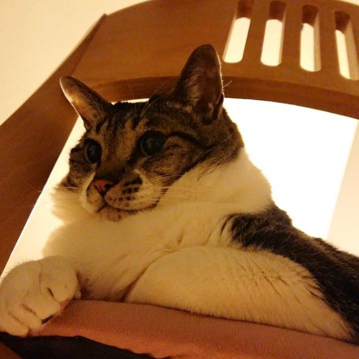 F0ee97d9 b3bc 4dd2 9843 2e3f30c25eae 1547727247473