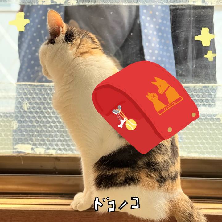 F0eea769 c561 427f 86fa 398159fe54ae 1744254501275