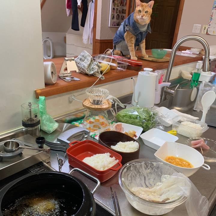 F0eeca25 710a 427c b2c6 153ae634e67b 1656649716847