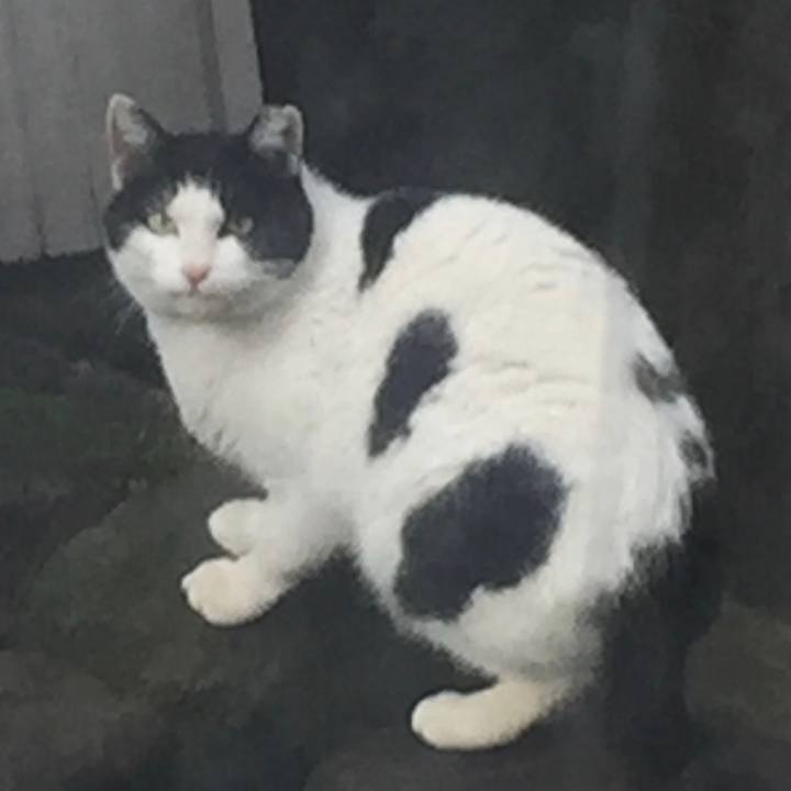 F0eee2b1 06f1 48d1 90eb 7390b2d35fd2 1655276961193