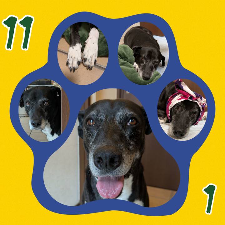 F0eef90c 4b33 4e96 b908 09c85a661d89 1761994907145