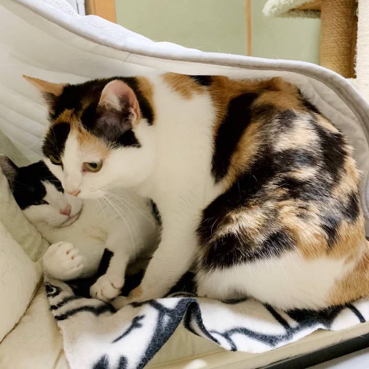 F0ef06d7 69e5 4361 9571 fa8dca5f617b 1551838575773