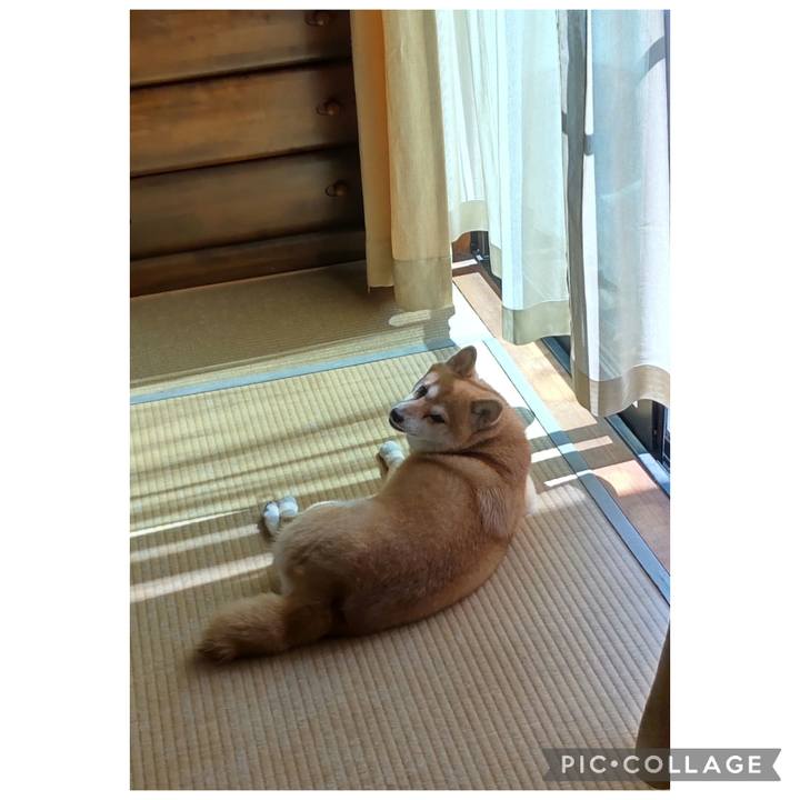 F0ef0f7d 5caf 4925 840e dbf35c170dd4 1759114384857