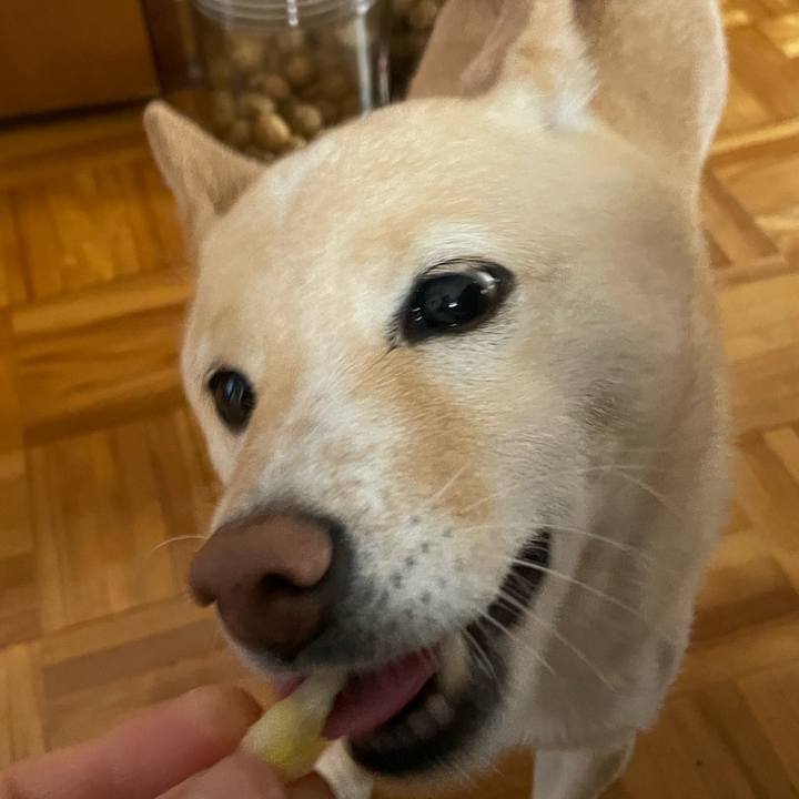 F0ef20c9 5ef4 43e6 99f5 01964049ceb4 1670023170888