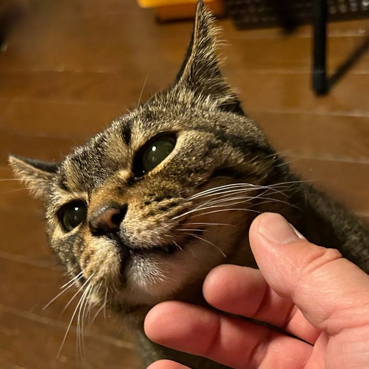 F0ef591c 2a1c 4276 a8e2 de1d09841d5e 1685795228133