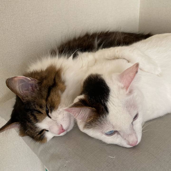 F0ef7644 430f 49a1 b918 6f816c220d12 1577401932915