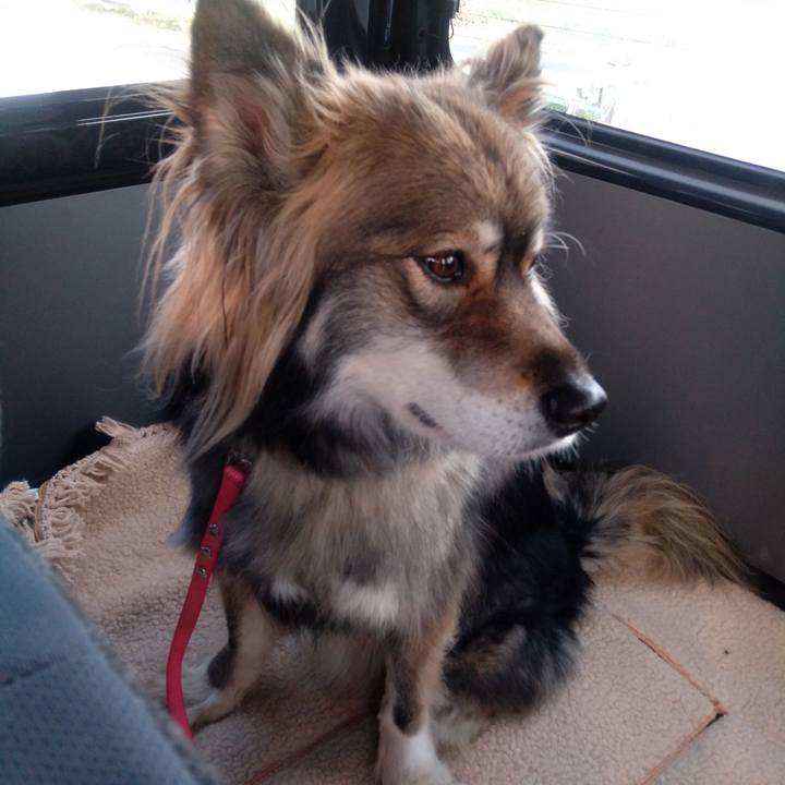 F0ef8246 ee0d 44e3 b522 030e2b3fcfbb 1580877685609