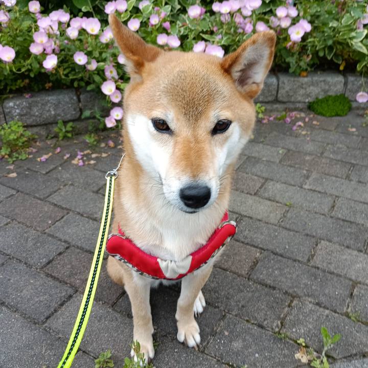 F0efc44b 4fb6 44c0 8483 b229adf3d4a2 1747871523464