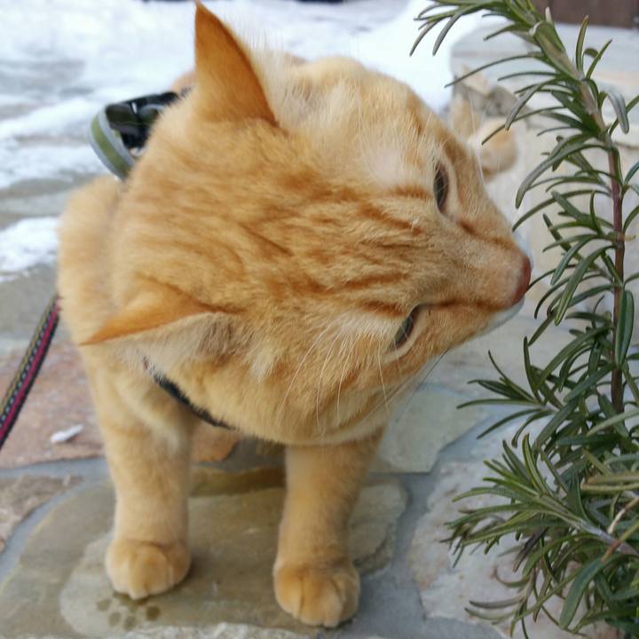 F0efc7a5 41a0 4d7b 973f 4b2ab65f3d1f 1517987024659