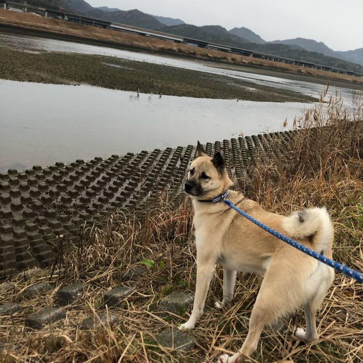 F0efd892 fa44 4b78 b197 76e83c7066e0 1576985138070