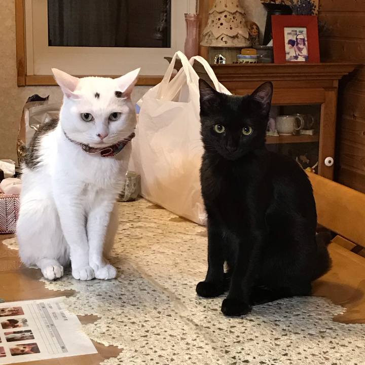 F0efd8b4 c1ef 4664 93da f66a83c33e22 1569663597851