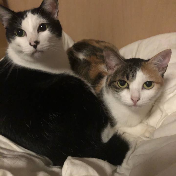 F0efef30 15c3 46b3 a088 0647e14d6931 1600697789528