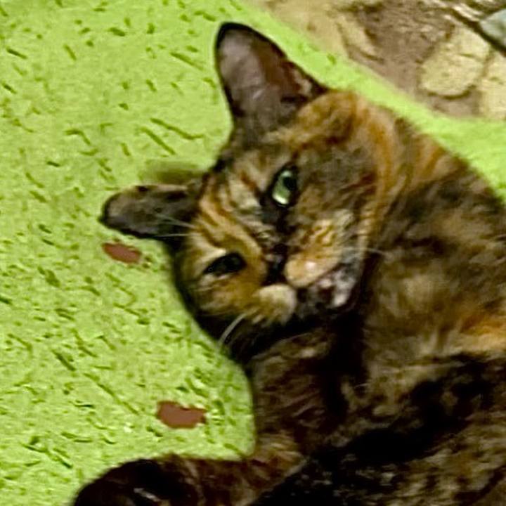 F0effc7f 78f3 4652 86bc e48050683cd8 1736454606067