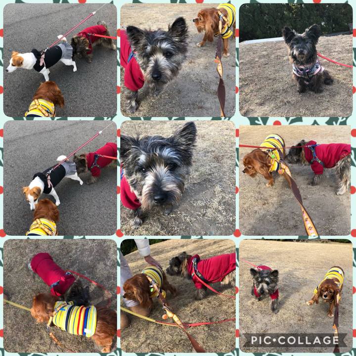 F0f041b4 52d9 410e 8ce0 650be8b45923 1608341506748