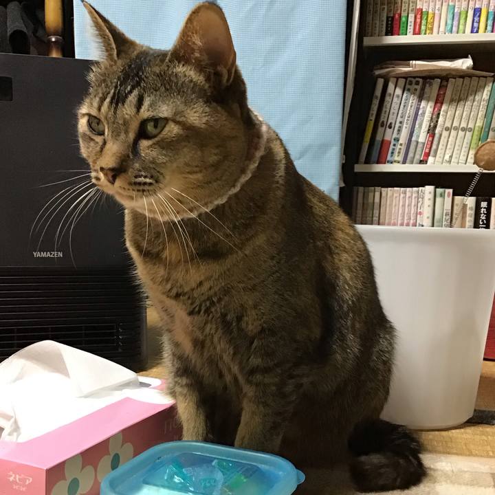 F0f05916 a29e 4ae2 82ce 760c9b9bcb3a 1675343117161