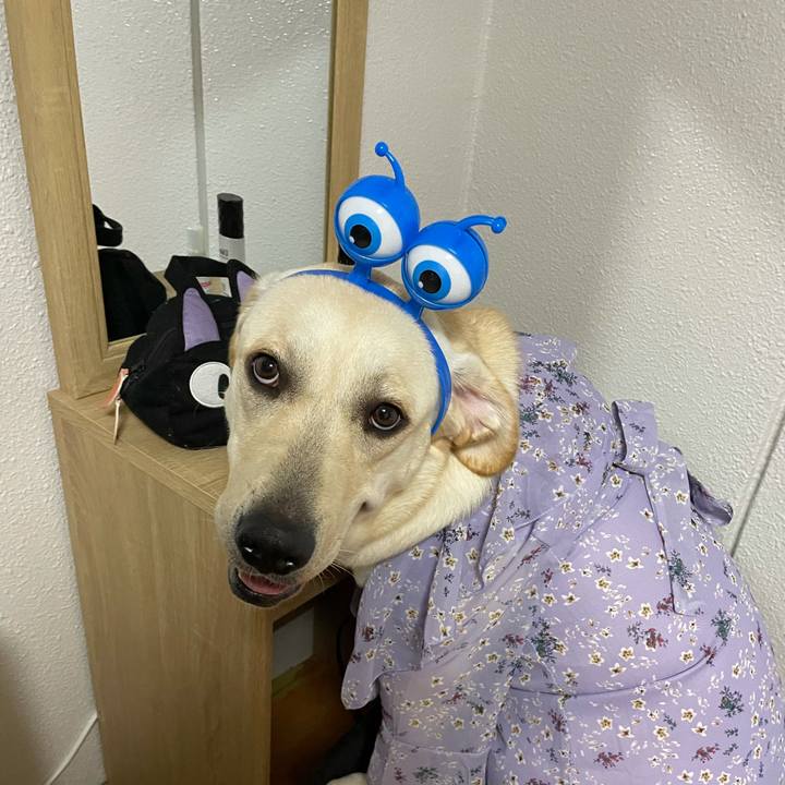 F0f06872 1424 48c3 bc5b fd8387d767b5 1633353318744