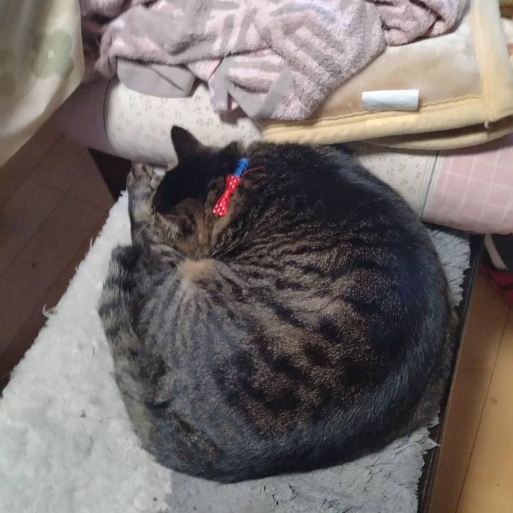 F0f07a46 9f83 4cbf abad 60ed3e9cd98f 1670817411696