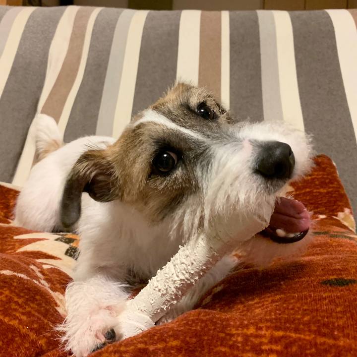 F0f15a04 eb2b 43ca 97f1 1b3aeb370156 1573044248974