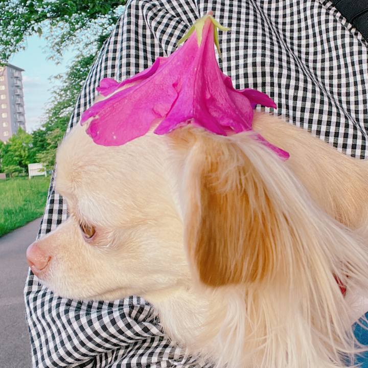 F0f16158 aaad 478b b359 ffc57c930a5f 1651309743573