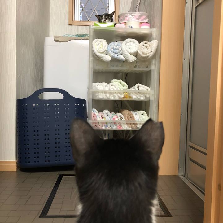 F0f16a50 24c6 494b ad33 9e07ea3af277 1531133180602