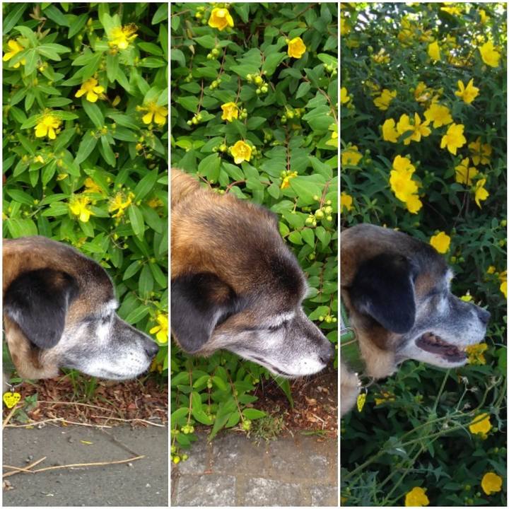 F0f175cc dfa9 4648 abc5 890f95eab678 1559267622684