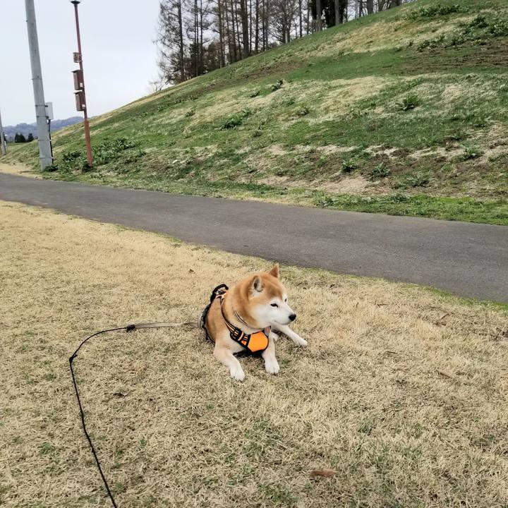 F0f17d8d 90d0 4d20 9ad6 e10e522f65c9 1617512891165