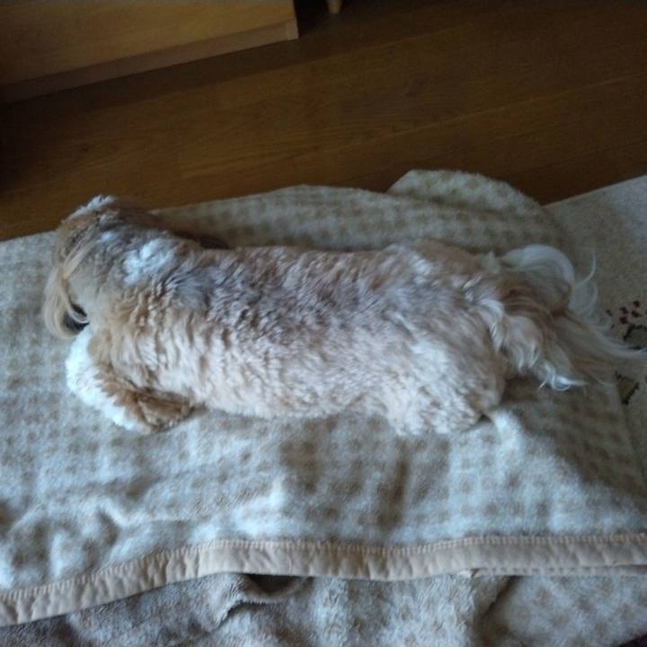 F0f1b19e 2c4b 4892 98df e460f18b1ff3 1654233215835