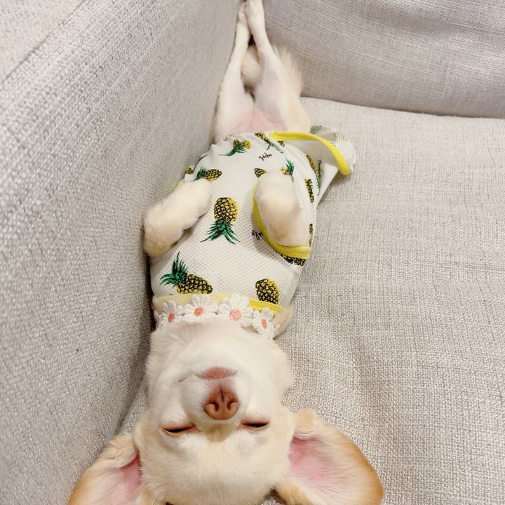 F0f1b7a7 36f8 44ae bc00 e239d6e98cae 1722170507365