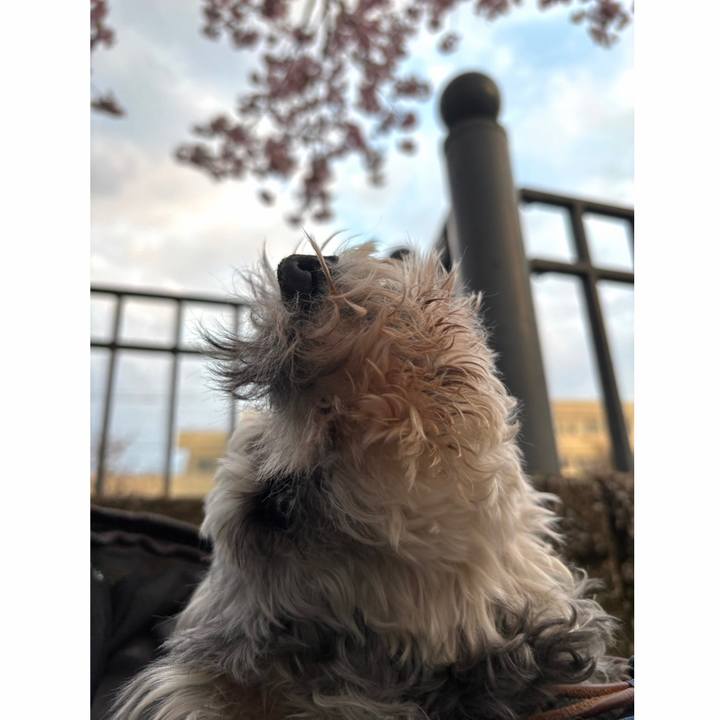 F0f1c6d4 6bfd 4a47 86b5 e832b9e1c91b 1774702802643