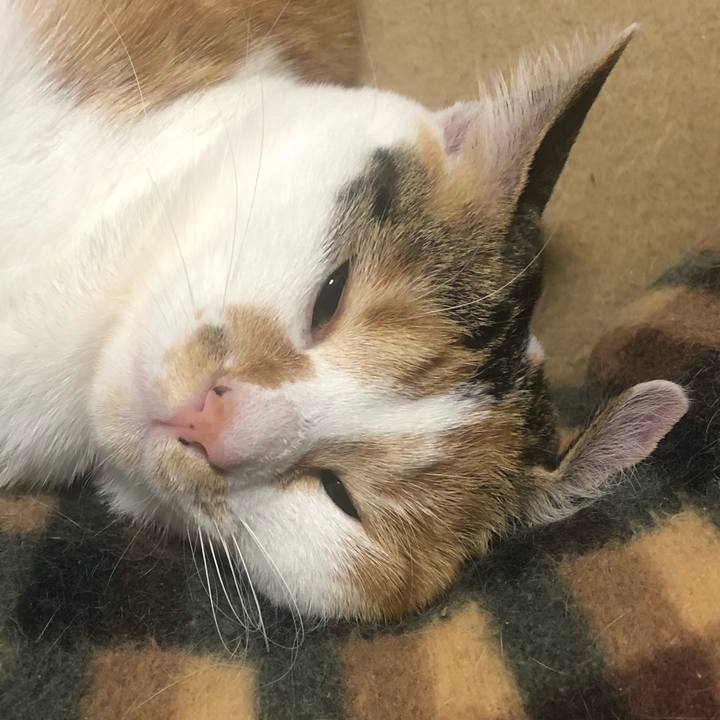 F0f20729 40e8 4744 8b09 e1329a0637ad 1585354624475