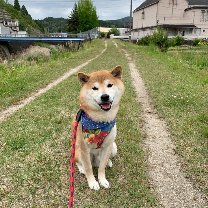 F0f251b0 64cc 4765 9ef5 1b609382ad0e 1589012641639