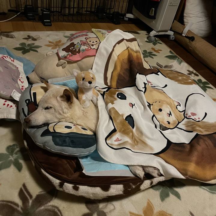 F0f26aff 5349 443c a567 fd28a9837841 1679667520013