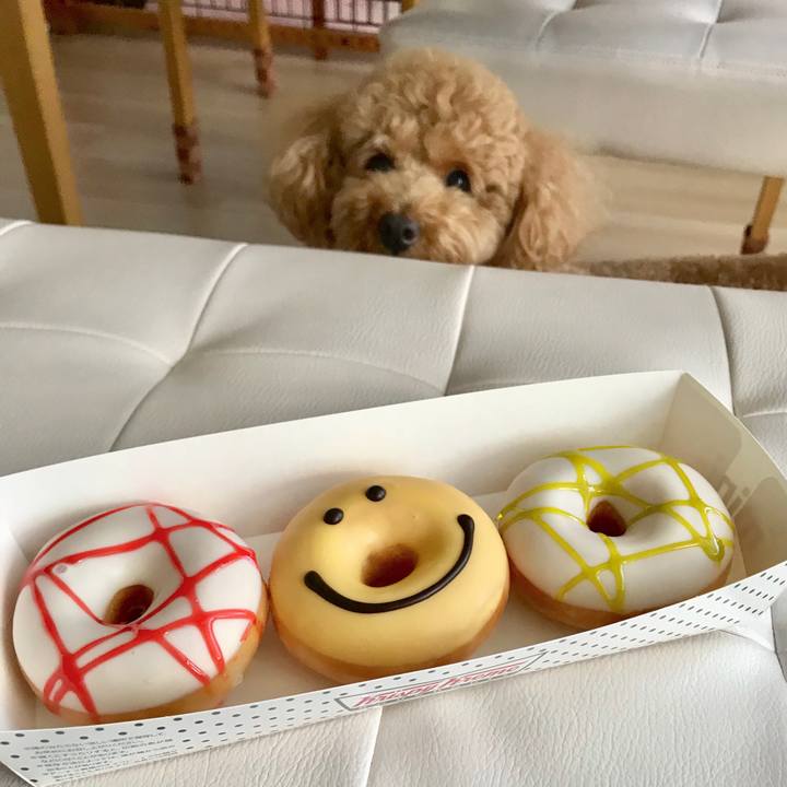 F0f28264 d4cb 46a5 8f5c 48dac70530b0 1528874057175