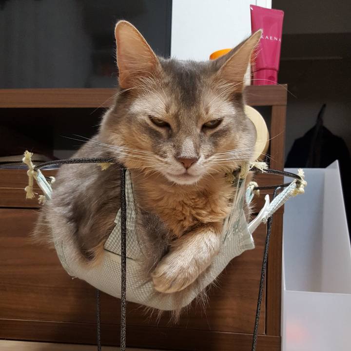 F0f2c1f8 d1d0 4cfc 8b3b f04a3d1b19a1 1574681765090