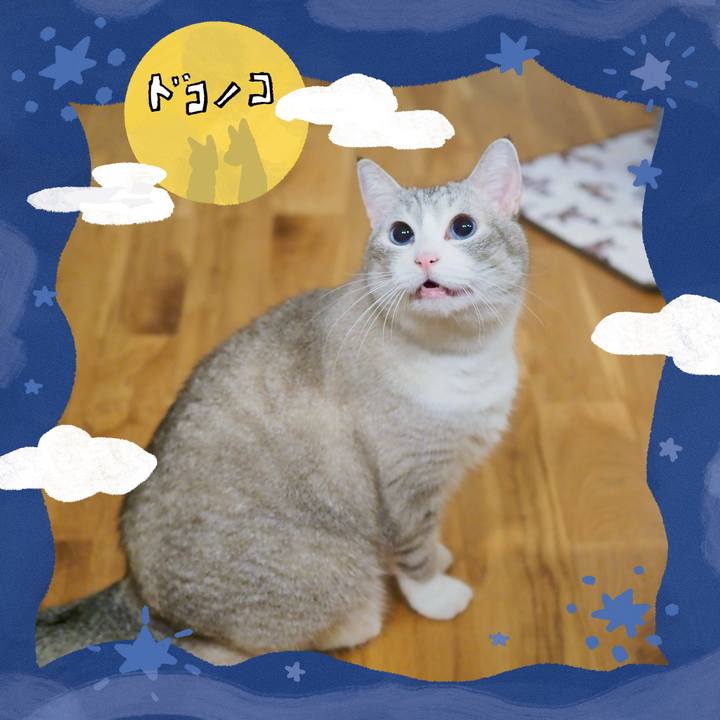 F0f2d5a9 666b 457f 814f 9e73b67d7a23 1727262873899