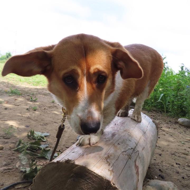 F0f2e180 3008 49d4 91fb f2df436f62aa 1622705955908