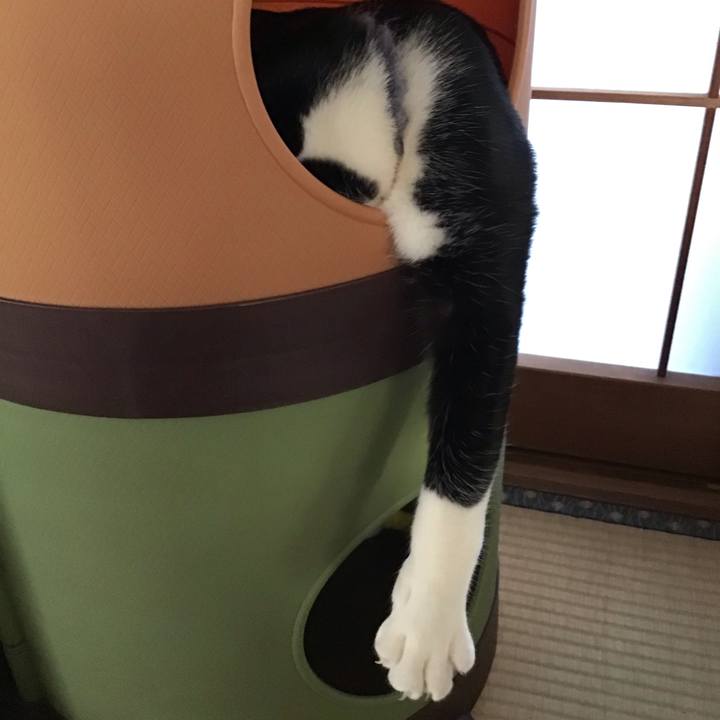 F0f304e5 ae82 4a5a a4ba 614d742c8b35 1641684236090