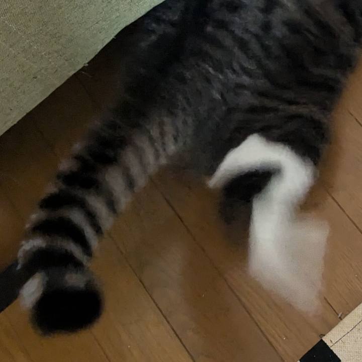 F0f31ab1 8e7d 4597 9901 106e9bd65639 1722125041920