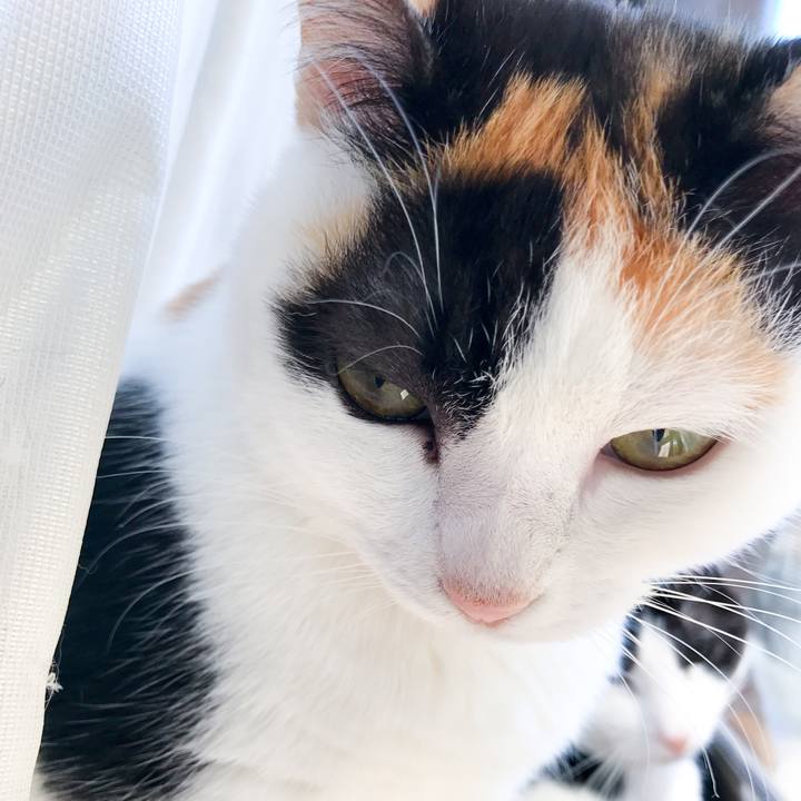 F0f32123 3d24 4746 b316 35d6798171d8 1524532525996