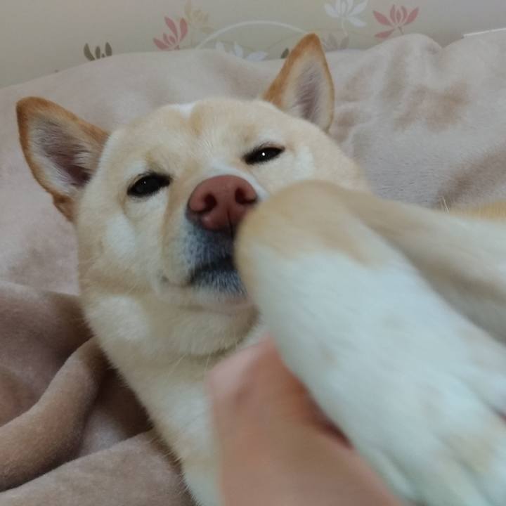 F0f33969 fb8a 4680 8288 53d4ae3cceed 1552735842232