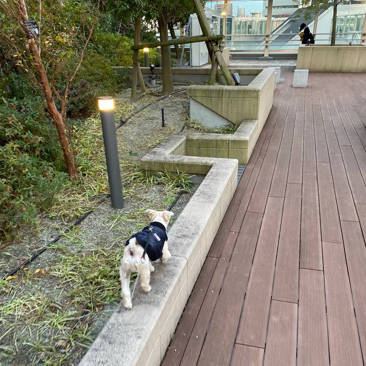 F0f35ff3 29de 4b9d b0c5 a778ac4d7cb3 1575541006221