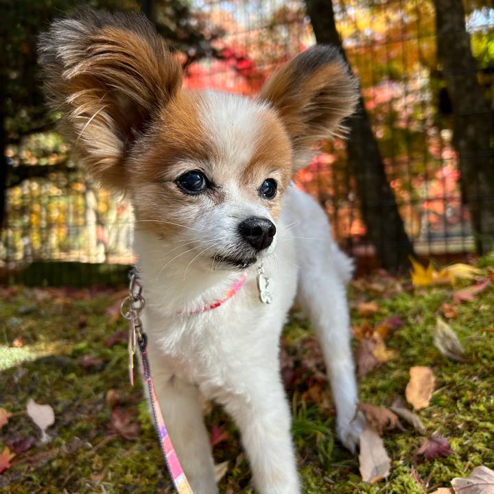 F0f384a6 b497 48f6 af41 a99020a674be 1667716421297