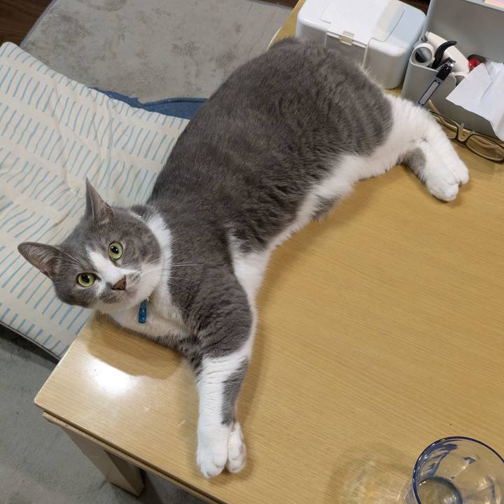 F0f38ce6 66aa 410a 9972 0f356fe0488e 1753089564929