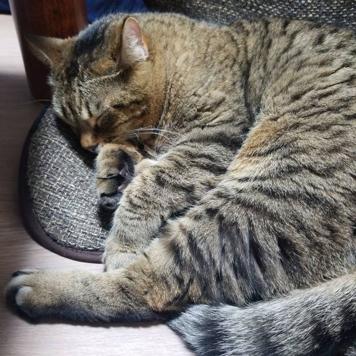 F0f399d9 fca7 41c9 8f69 c098a08fbc77 1577018161263