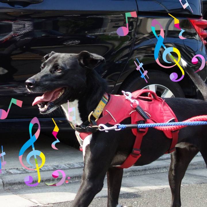 F0f3a4f9 a009 488a b183 118271a861ca 1588207391172