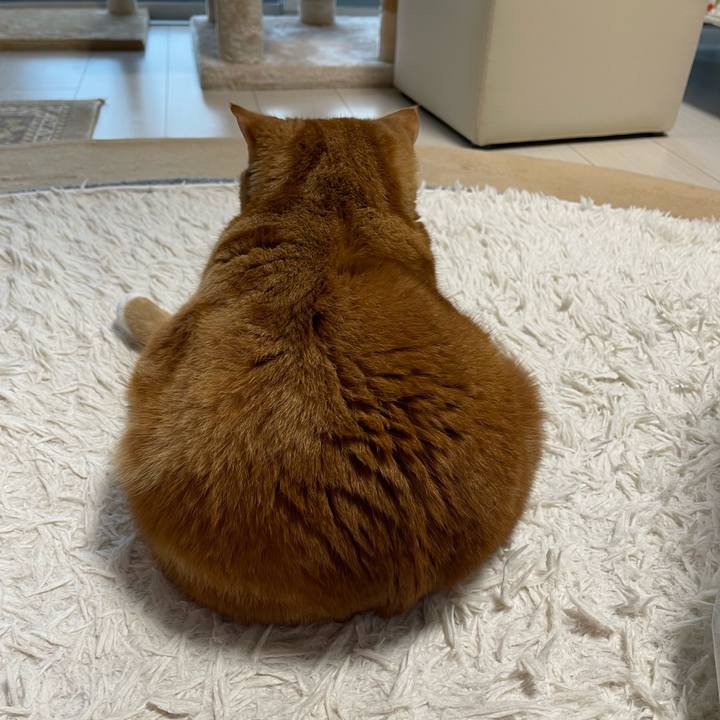 F0f3ab6d 004a 426c a6d8 e9c10fdd595a 1694940412473