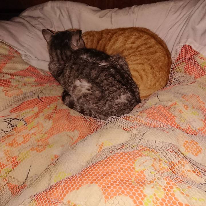 F0f3b08e 1d30 4a5a 8645 c39988de3db6 1584974166934