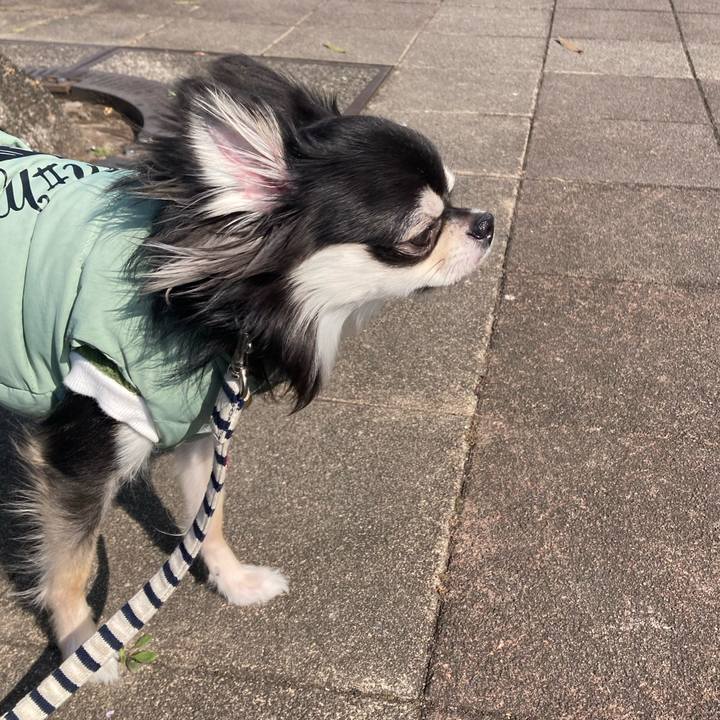 F0f3b339 b38f 4278 927d 7c0a7bc79a7a 1613279380000